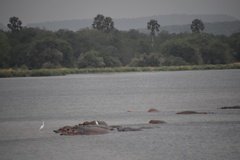 uganda5179