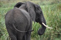 uganda5223