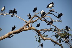 uganda6105