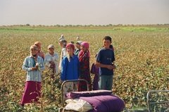 oezbekistan1140