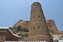 oman1110