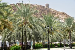 oman1118