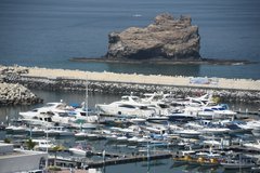 oman1302