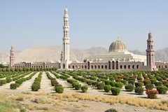 oman1355