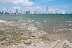 panama1008