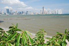 panama1010