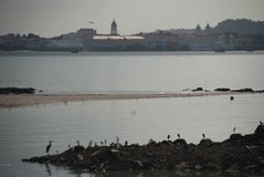 panama1025