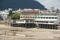 panama1039