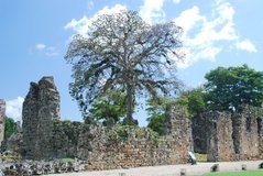 panama1092