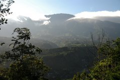 panama4033