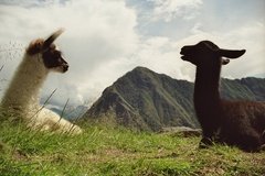 peru4101
