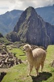 peru4303