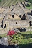 peru4317