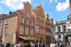 polen1519