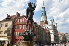 polen3060