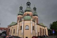 polen3136