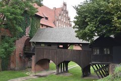 polen3538