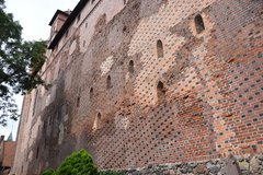 polen3633