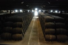 portugal1053
