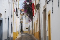 portugal3793