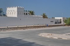 qatar1007