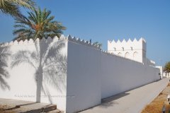 qatar1008