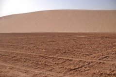 qatar1142