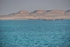 qatar1148