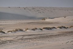 qatar1157