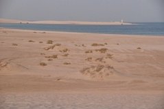 qatar1164