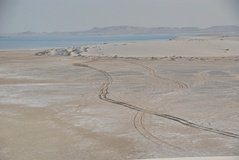 qatar1169