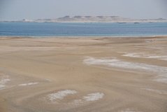 qatar1171