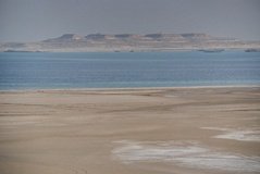qatar1172
