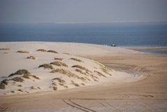 qatar1175