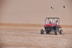 qatar1179