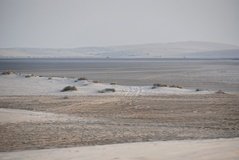 qatar1181