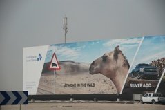 qatar1185