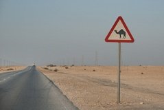 qatar1194