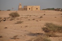 qatar1195