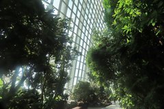 singapore1086