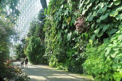 singapore1087