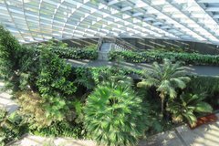 singapore1095
