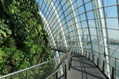 singapore1100