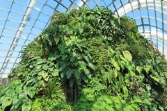 singapore1101