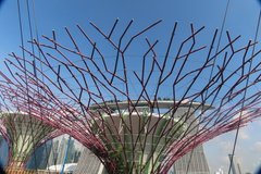 singapore1102