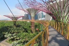 singapore1103