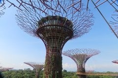 singapore1105