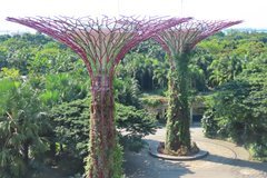 singapore1106