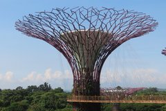 singapore1107