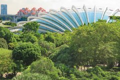 singapore1108